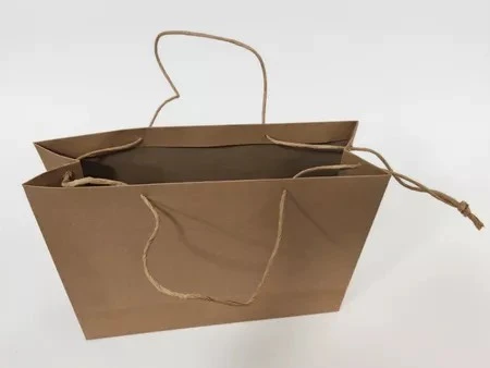Handheld paper bags (3)